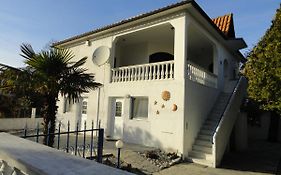 Delfini House