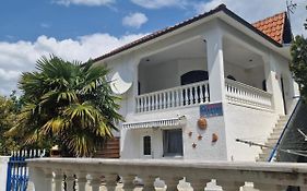 Delfini House
